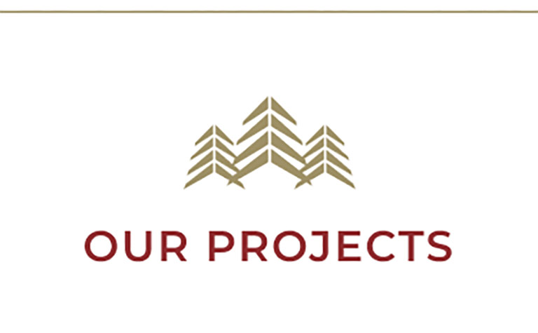 our projects